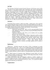 Filosofijos istorijos periodizacija iki Viduramžių 11 puslapis