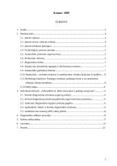 Automobilių diagnostikos praktika 2 puslapis