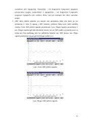 Automobilių diagnostikos praktika 12 puslapis