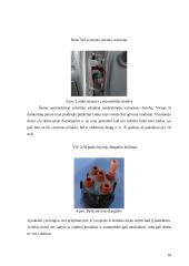 Automobilių diagnostikos praktika 18 puslapis