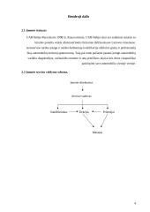 Automobilių diagnostikos praktika 4 puslapis
