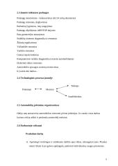 Automobilių diagnostikos praktika 5 puslapis