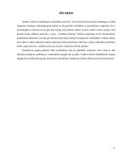 Grupės valdymas 11 puslapis