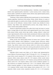 Ieškinio senaties institutas 11 puslapis