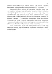 Ieškinio senaties institutas 12 puslapis