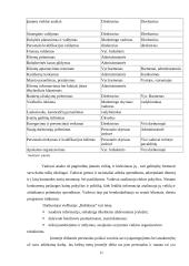 Baigiamosios praktikos ataskaita: viešbutis "Babilonas" 11 puslapis