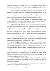 Baigiamosios praktikos ataskaita: viešbutis "Babilonas" 16 puslapis