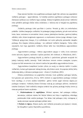 Baigiamosios praktikos ataskaita: viešbutis "Babilonas" 20 puslapis