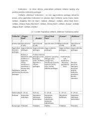 Baigiamosios praktikos ataskaita: viešbutis "Babilonas" 7 puslapis