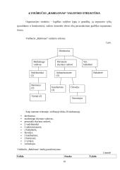 Baigiamosios praktikos ataskaita: viešbutis "Babilonas" 10 puslapis