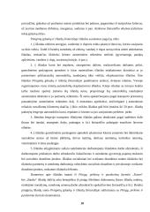 Buhalterinės  apskaitos praktikos ataskaita: ūkininko ūkis 10 puslapis