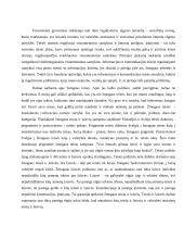Informacijos ir komunikacijos teisinių santykių reguliavimas: esatis ir ateities perspektyvos 3 puslapis