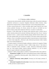 Informacinė visuomenė ir informacinė valdžia 11 puslapis