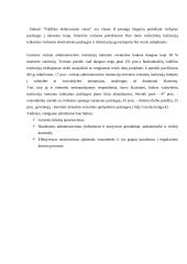 Informacinė visuomenė ir informacinė valdžia 15 puslapis