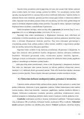 Gamybinės – technologinės praktikos ataskaita: statybos bendrovė UAB "Viremida" 13 puslapis