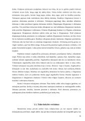 Gamybinės – technologinės praktikos ataskaita: statybos bendrovė UAB "Viremida" 16 puslapis