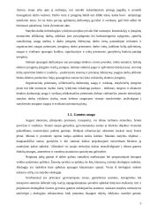 Gamybinės – technologinės praktikos ataskaita: statybos bendrovė UAB "Viremida" 5 puslapis