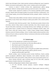 Gamybinės – technologinės praktikos ataskaita: statybos bendrovė UAB "Viremida" 6 puslapis