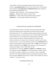Intelekto istorija, paveldėjimas bei struktūra 9 puslapis