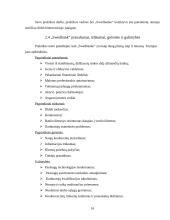 Gamybinės praktikos ataskaita: "Swedbank" 16 puslapis