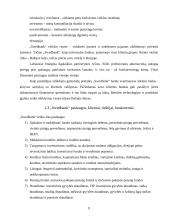 Gamybinės praktikos ataskaita: "Swedbank" 9 puslapis