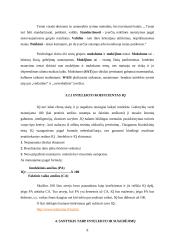 Intelektas ir gabumai 8 puslapis