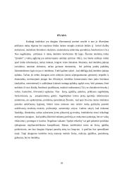 Intelektas ir gabumai 10 puslapis