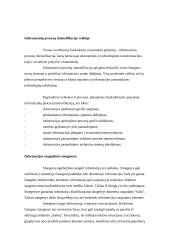 Intelektas ir sėkmė profesinėje veikloje 2 puslapis