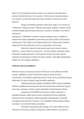 Intelektas ir sėkmė profesinėje veikloje 3 puslapis