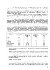 Gamybinės praktikos ataskaita: prekiniai vagonai 11 puslapis