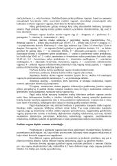 Gamybinės praktikos ataskaita: prekiniai vagonai 4 puslapis