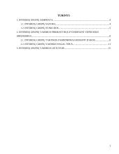 Interesų grupių vaidmuo priimant ir įgyvendinant viešuosius sprendimus 2 puslapis