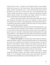 Interesų grupių vaidmuo priimant ir įgyvendinant viešuosius sprendimus 13 puslapis