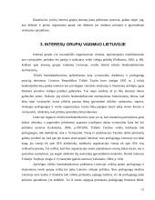 Interesų grupių vaidmuo priimant ir įgyvendinant viešuosius sprendimus 15 puslapis