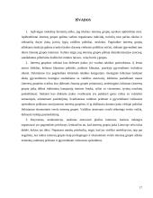 Interesų grupių vaidmuo priimant ir įgyvendinant viešuosius sprendimus 17 puslapis