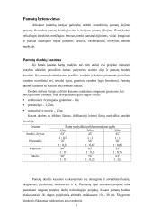 Gamybinės praktikos ataskaita: statybos darbai UAB "Apdaila" 3 puslapis