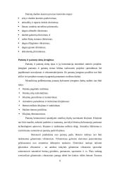 Gamybinės praktikos ataskaita: statybos darbai UAB "Apdaila" 4 puslapis