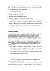 Gamybinės praktikos ataskaita: statybos darbai UAB "Apdaila" 5 puslapis