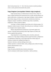 Gamybinės praktikos ataskaita: statybos darbai UAB "Apdaila" 6 puslapis