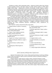 Gamybinės praktikos ataskaita: statybos darbai UAB "Palinkusi liepa" 4 puslapis