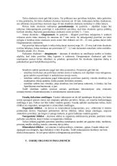 Gamybinės praktikos ataskaita: statybos įmonė "Iglus" 11 puslapis