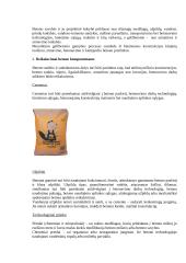 Gamybinės praktikos ataskaita: statybos įmonė "Iglus" 4 puslapis