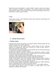 Gamybinės praktikos ataskaita: statybos įmonė "Iglus" 5 puslapis