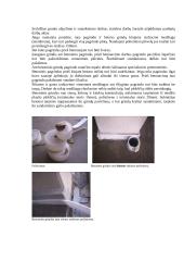 Gamybinės praktikos ataskaita: statybos įmonė "Iglus" 6 puslapis