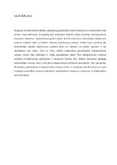 Internetinės pažangios multimedijos sistemos 2 puslapis