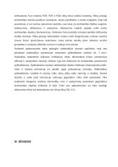 Internetinės pažangios multimedijos sistemos 11 puslapis