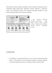 Internetinės pažangios multimedijos sistemos 12 puslapis
