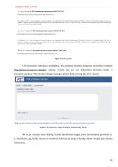Internetinės svetainės atitikties W3C konsorciumo reikalavimams tikrinimas 10 puslapis