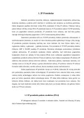 IP protokolas; IPv4; IPv6 4 puslapis