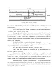 IP protokolas; IPv4; IPv6 5 puslapis